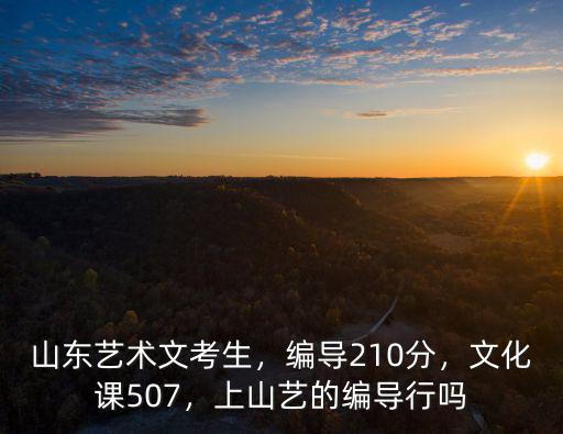 山東藝術文考生，編導210分，文化課507，上山藝的編導行嗎
