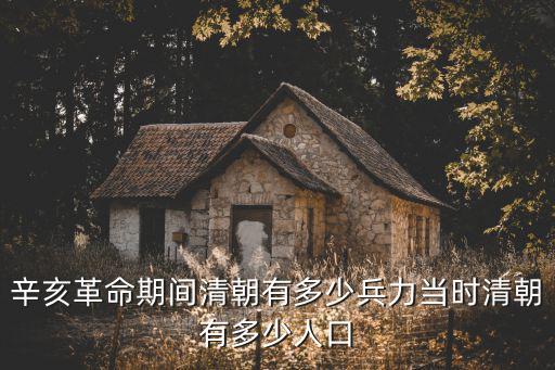 辛亥革命期間清朝有多少兵力當時清朝有多少人口