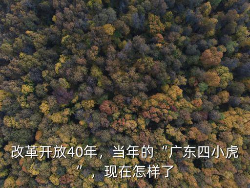 改革開放40年，當年的“廣東四小虎”，現(xiàn)在怎樣了