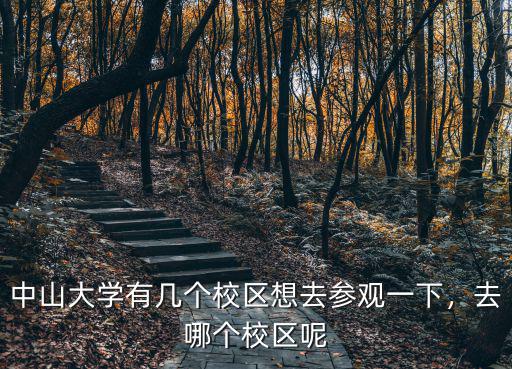 中山大學總共多少校區,中山大學有幾個校區