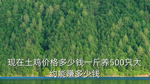 珠海本地雞多少錢一斤,現(xiàn)在土雞價(jià)格多少錢一斤