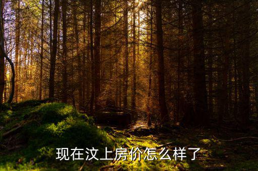 現在汶上房價怎么樣了