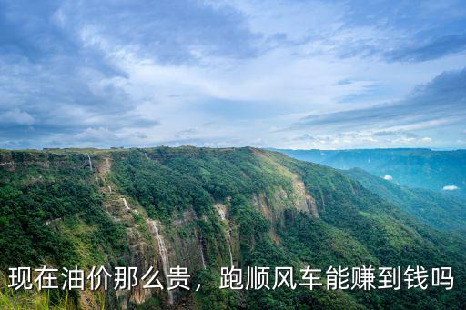 現(xiàn)在油價那么貴，跑順風(fēng)車能賺到錢嗎