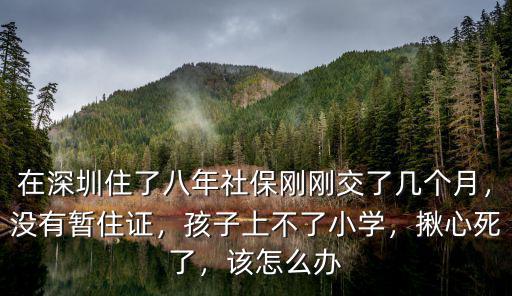 在深圳住了八年社保剛剛交了幾個月，沒有暫住證，孩子上不了小學，揪心死了，該怎么辦