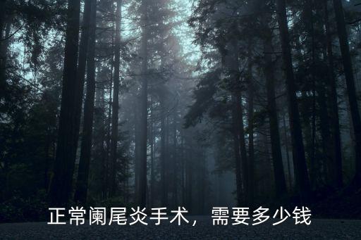 正常闌尾炎手術(shù)，需要多少錢
