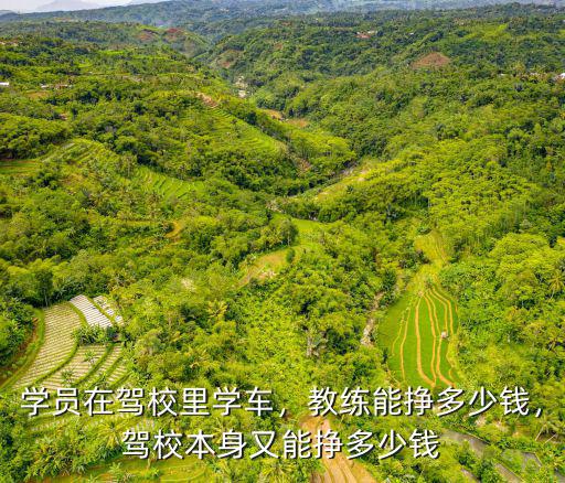 學(xué)員在駕校里學(xué)車，教練能掙多少錢，駕校本身又能掙多少錢