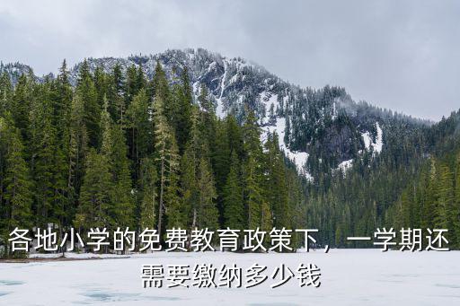 各地小學的免費教育政策下，一學期還需要繳納多少錢