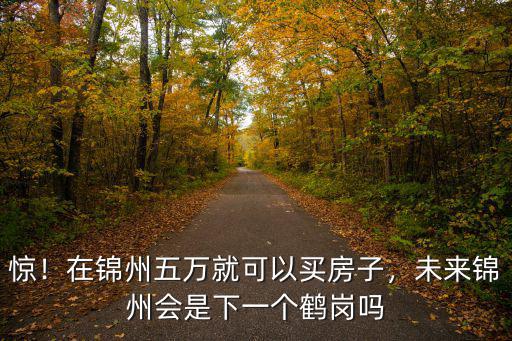 寧波錦州房價多少一平,在錦州五萬就可以買房子