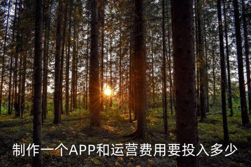 制作一個APP和運(yùn)營費(fèi)用要投入多少
