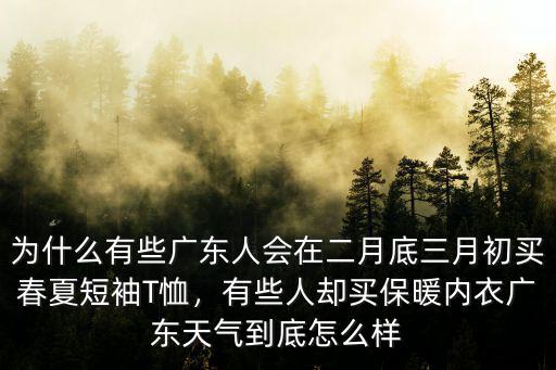 廣東未來天氣怎么樣,國慶假期天氣怎么樣