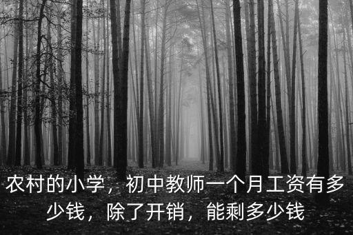 德州小學(xué)老師工資大概多少錢,初中教師一個(gè)月工資有多少錢