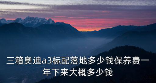 三箱奧迪a3標配落地多少錢保養費一年下來大概多少錢