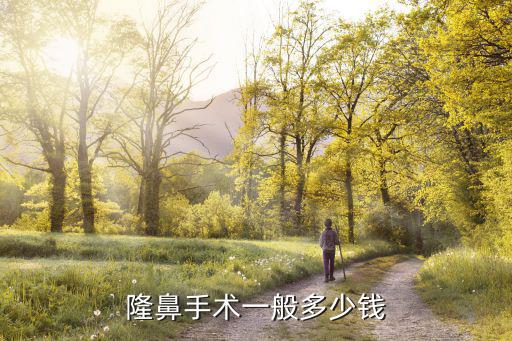 隆鼻手術一般多少錢