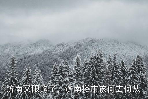 濟(jì)南又限購了，濟(jì)南樓市該何去何從