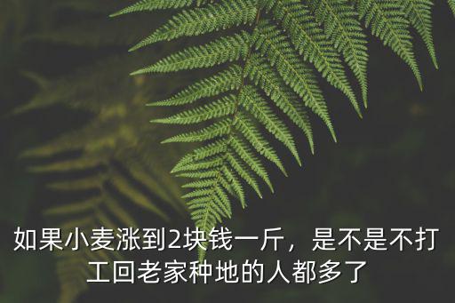 浙江省小麥多少錢一斤,今年夏糧小麥多少錢一斤