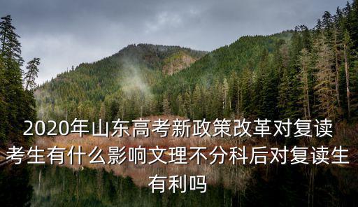 2020年山東高考復(fù)讀生有多少人,今年河南高考有20萬復(fù)讀生