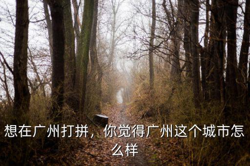 想在廣州打拼，你覺得廣州這個城市怎么樣