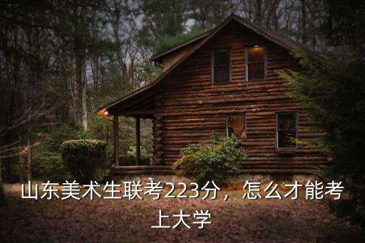 2020山東美術高考需要考多少分,山東美術生聯考223分