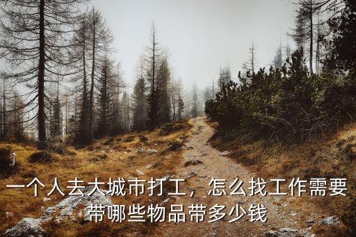 一個人去大城市打工，怎么找工作需要帶哪些物品帶多少錢