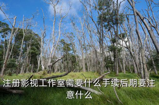 深圳影視工作室怎么注冊,注冊影視工作室需要什么手續