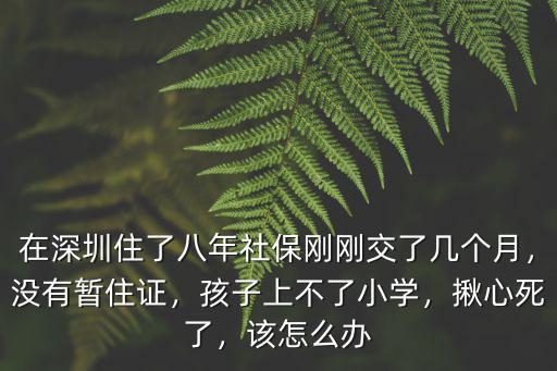 在深圳住了八年社保剛剛交了幾個月，沒有暫住證，孩子上不了小學，揪心死了，該怎么辦