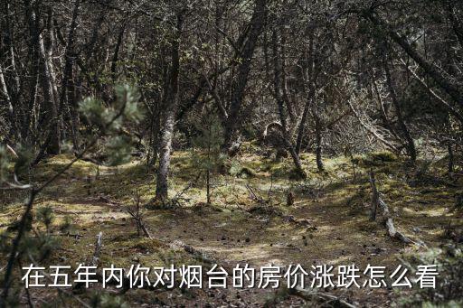 在五年內你對煙臺的房價漲跌怎么看