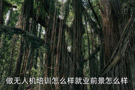 做無人機(jī)培訓(xùn)怎么樣就業(yè)前景怎么樣