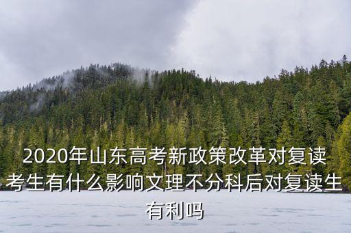 2020年山東高考新政策改革對復讀考生有什么影響文理不分科后對復讀生有利嗎