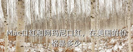 Mac口紅和阿瑪尼口紅，在美國的價(jià)格是多少