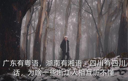 廣東有粵語，湖南有湘語，四川有四川話，為啥一些浙江人相互聽不懂