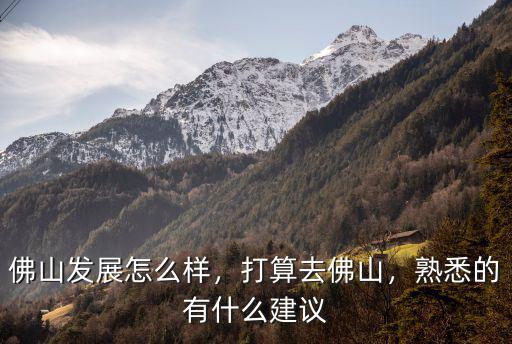 佛山it行業發展的怎么樣,佛山這幾年的就業前景怎么樣