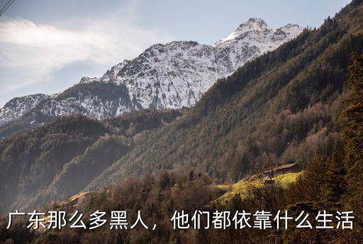 那么多黑人怎么在廣州定居,廣州黑人真的很多嗎
