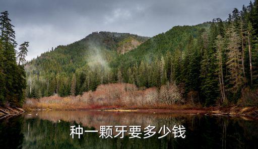 佛山和順種牙一顆大約多少錢,種植牙一顆大概多少錢