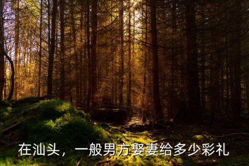 在汕頭，一般男方娶妻給多少彩禮