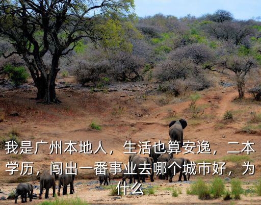 廣州本地人生活在哪里,廣州的富人區(qū)在哪里