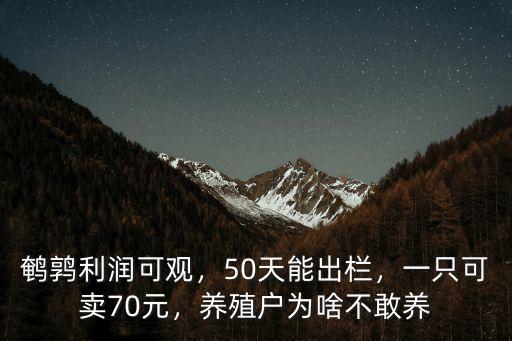 廣東養(yǎng)鵪鶉怎么樣,養(yǎng)殖鵪鶉?yán)麧?rùn)怎么樣