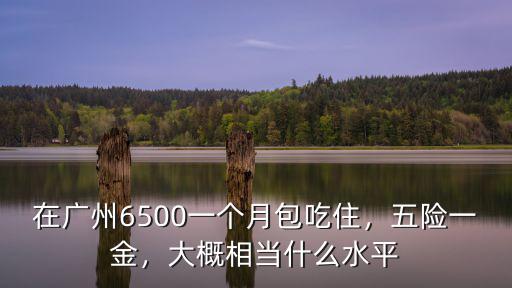 在廣州6500一個月包吃住，五險一金，大概相當什么水平