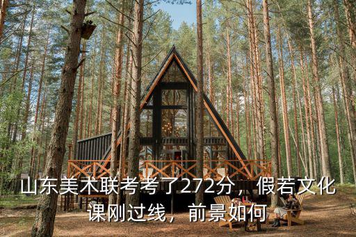 山東美術(shù)聯(lián)考270文化課多少分能上,山東美術(shù)聯(lián)考考了272分