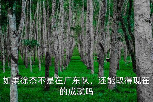 廣東隊徐杰工資多少,如果徐杰不是在廣東隊
