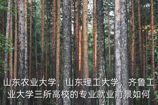 山東每年多少大學畢業生,山東農業大學
