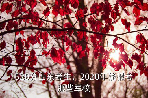 2020年山東現役軍考多少分,520分山東考生