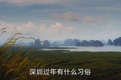 深圳過年都怎么過,1600萬人留在深圳過年