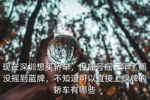 深圳搖號(hào)搖到了車是國(guó)5的怎么辦,15萬(wàn)的車可以付全款