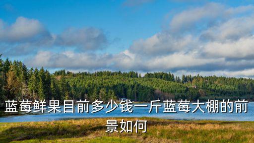 溫州藍(lán)莓多少錢一斤,藍(lán)莓大棚的前景如何