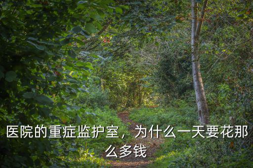 醫(yī)院的重癥監(jiān)護(hù)室，為什么一天要花那么多錢