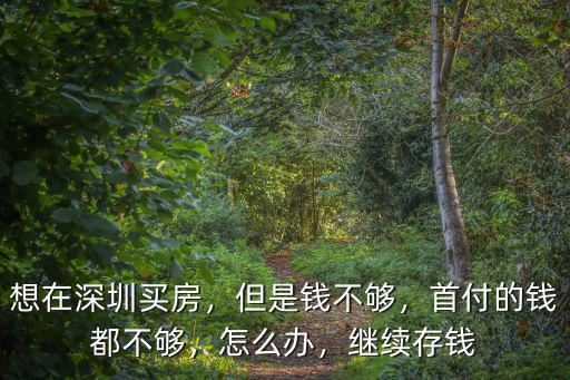 在深圳買房首付不足怎么辦,想在深圳買房