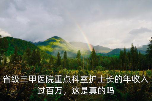 省級三甲醫院重點科室護士長的年收入過百萬，這是真的嗎