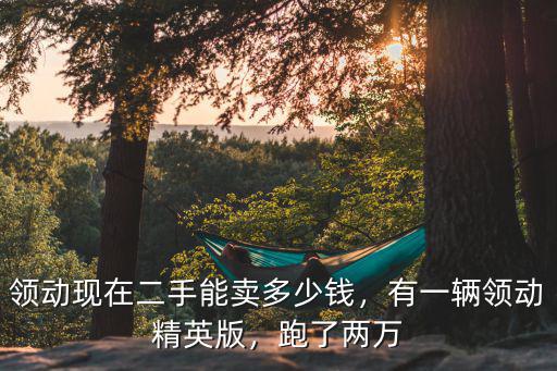 領動現在二手能賣多少錢，有一輛領動精英版，跑了兩萬
