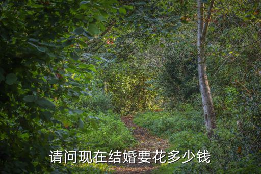 請問現在結婚要花多少錢