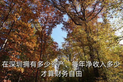 在深圳擁有多少資產、每年凈收入多少才算財務自由